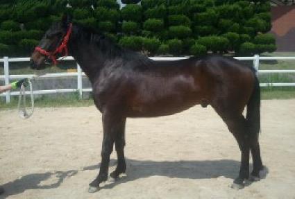 �������̽� ����