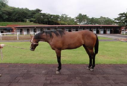 ����Ƽ���� ����