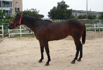 �̽������� (MR. WINNER) ����