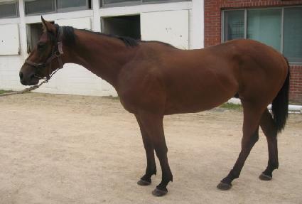 ���� ����