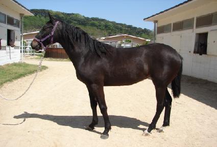 ������� ����