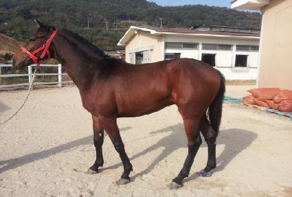 �������� ����