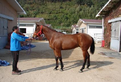 �¾� ����