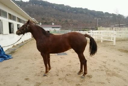 ������ ����