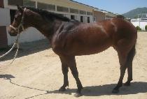 ��¹̼� (USEUNG MISO) ����