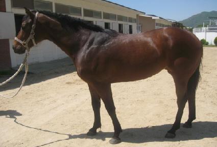 ��¹̼� ����