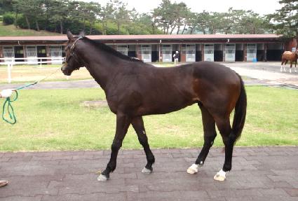 ����Ʈ�� ����