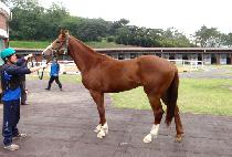 �巡����Ʈ (DRAGON HEART) ����