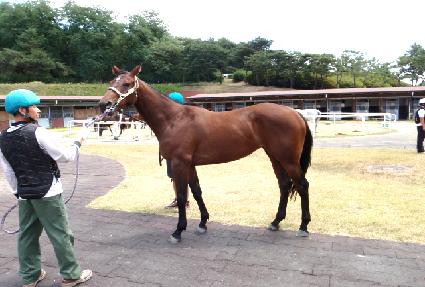 �׸��� ����