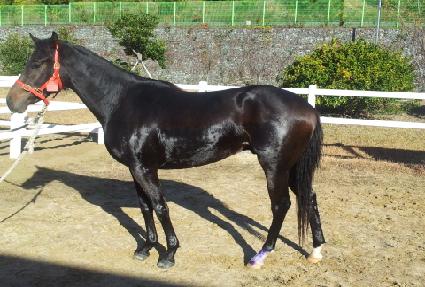 �츮�� ����