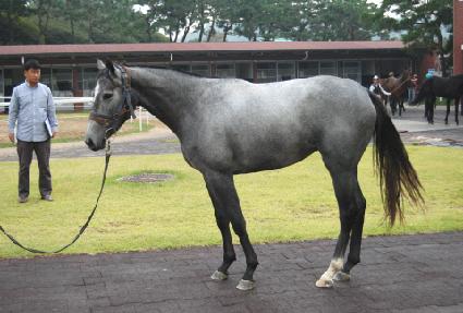 ī��ƾ ����