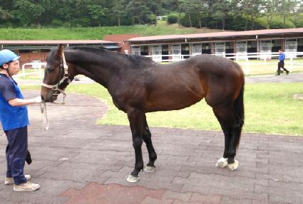 �Ŷ��� ����