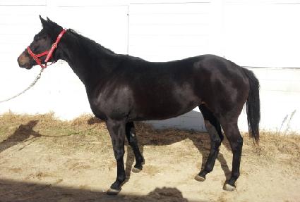 ��������Ʈ ����