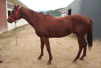 �������� ����