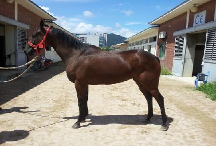 ������ ����