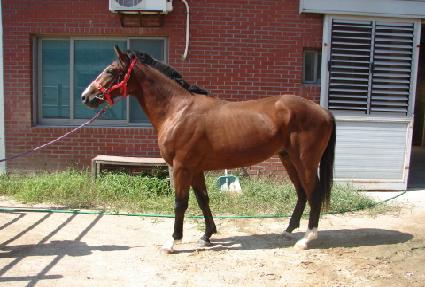 ����ŷ ����