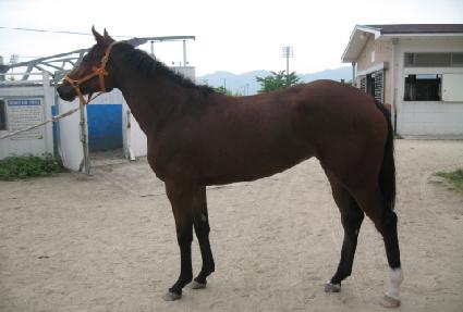 ���� ����