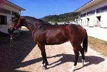 �׷��� (GRAPHENE) ����