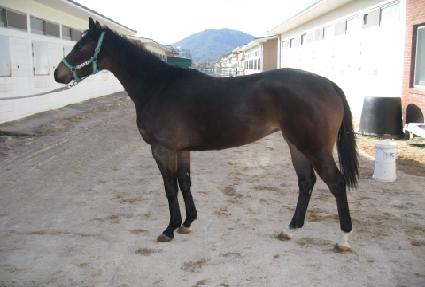 õ������ ����