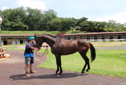 ������ ����