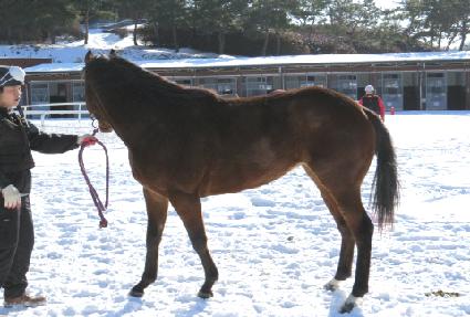 �����Ʈ ����