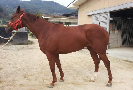 �뺧��ȭ ����