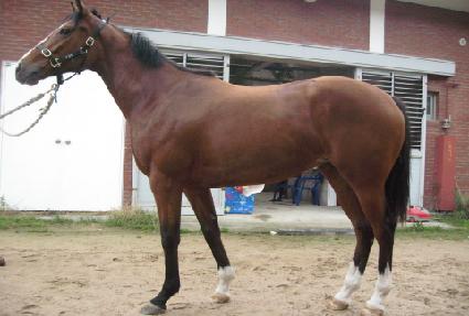 �̽��������� ����