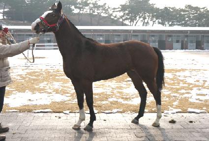 ���� ����