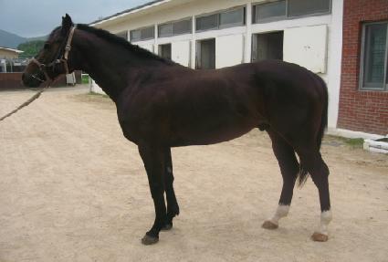 �������� ����