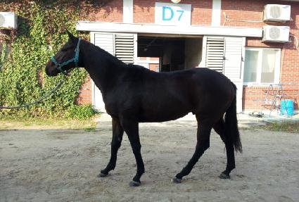 �ΰ潺Ÿ�� ����