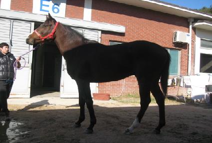 ���̽�ŷ ����