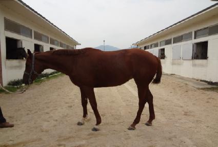 ������� ����