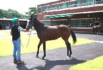 ���ο�� (SAEROUNSIN) ����