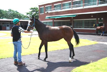 ���ο�� ����