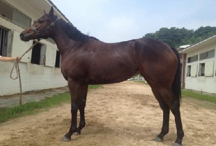 ���淡�� ����