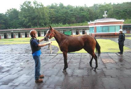 ���ĵ��м� ����