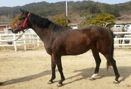 ��Ÿ��ƽ��ũ ����