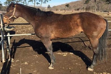 �ٶ��̸�� ����