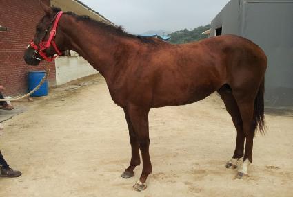 �ε��� ����