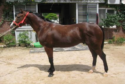 ��� ����