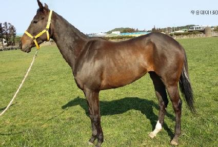 ��µ��� ����