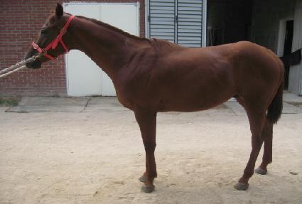 �¸����� ����