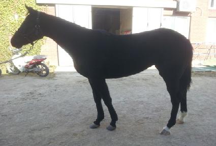 �︮�ǽ� ����