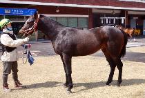 ������� (HEUNGNYONGJEONSEOL) ����