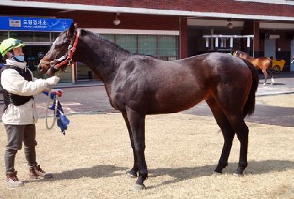 ������� ����