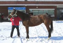 ��ιھ� (HEUNGBU BAKSSI) ����