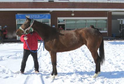 ��ιھ� ����