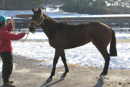 ������� ����