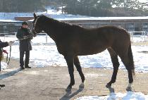 ��Ʈ���� (LAST MO FUN) ����