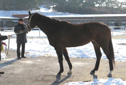 ��Ʈ���� ����